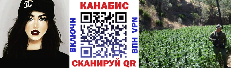 Бошки марихуана семена  ссылка на мегу зеркало  Выкса  дарнет шоп 